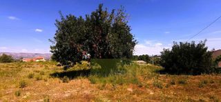 Solar en venta en Ontinyent