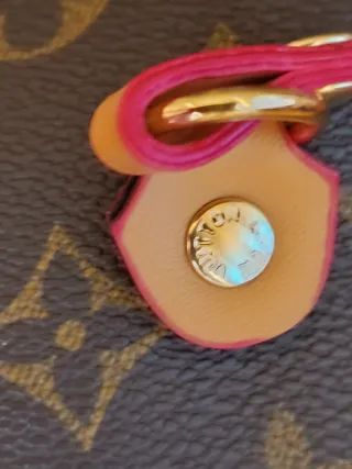 Bolso Louis Vuitton Clásico Poco Uso