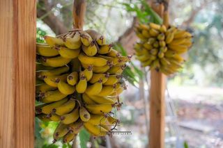 Terreno en venta en Vícar en Vícar