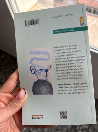 El Príncep i la flor