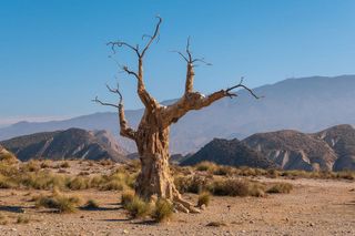 Chalet en venta en La Chanca - Pescadería en Almería