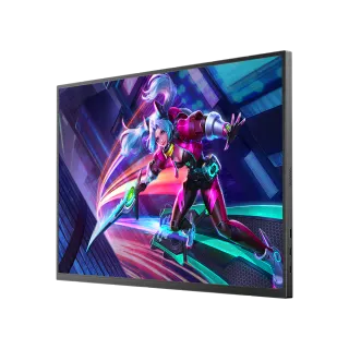 Monitor portatile pieghevole - Schermo singolo 14