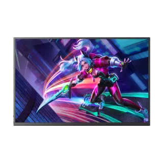 Monitor portatile pieghevole - Schermo singolo 14