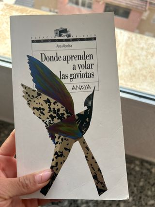 Donde aprenden a volar las gaviotas (Espacio Ab...