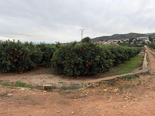 Terreno en venta en Las Pedrizas en Chiva