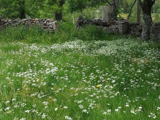 Chalet en venta en Espinosa de los Monteros