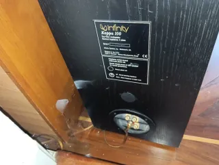 Bafles Infinity Kappa 100