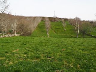 Casa adosada en venta en Espinosa de los Monteros