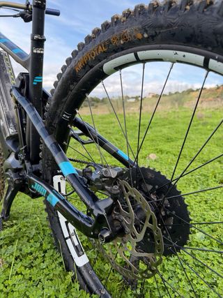 Focus Jam carbono 2019