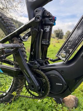 Focus Jam carbono 2019