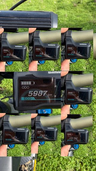 Focus Jam carbono 2019