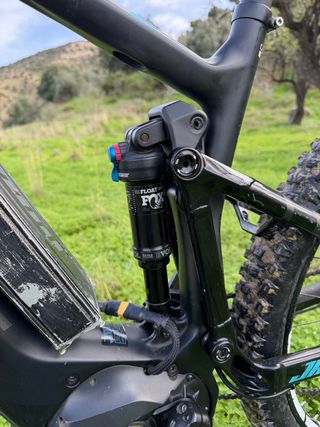 Focus Jam carbono 2019