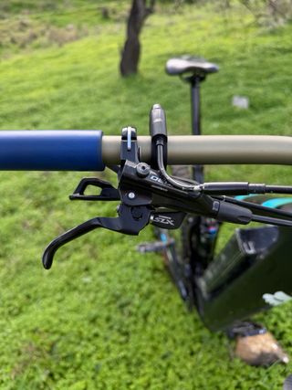 Focus Jam carbono 2019