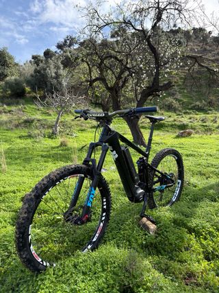 Focus Jam carbono 2019