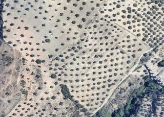 Terreno en venta en Pulianas