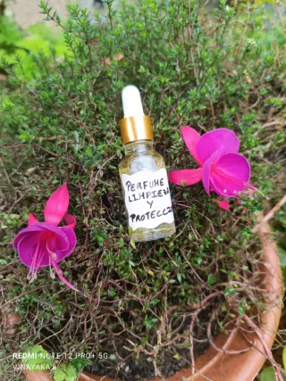 Perfume Limpieza y Protección
