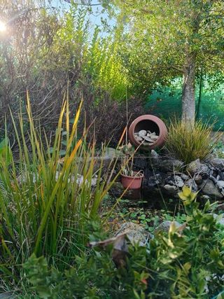 Chalet en venta en San Sadurniño