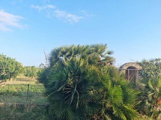 Casa en venta en Sant Llorenç des Cardassar