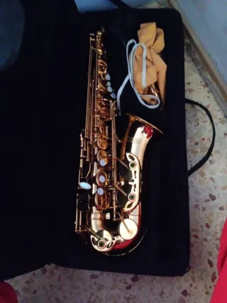 Funda Saxo Alto Jason