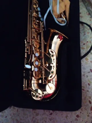 Funda Saxo Alto Jason