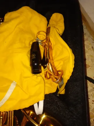 Funda Saxo Alto Jason