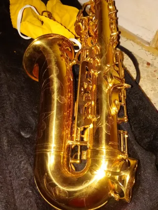 Funda Saxo Alto Jason