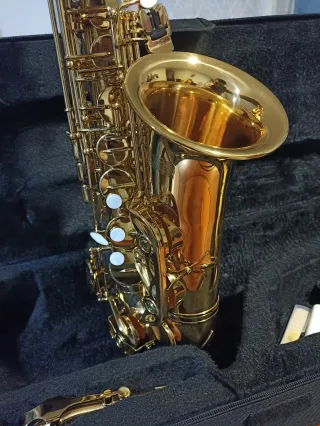 Funda Saxo Alto Jason