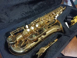 Funda Saxo Alto Jason