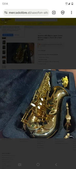 Funda Saxo Alto Jason