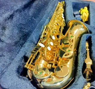 Funda Saxo Alto Jason