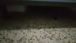 Colchón y sumier 150x200