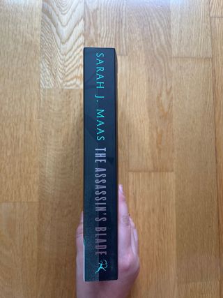 The Assassin's Blade