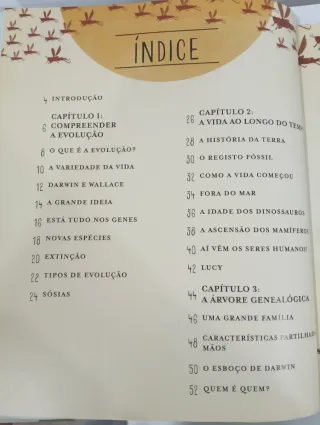 Incrível evolução a viagem da vida