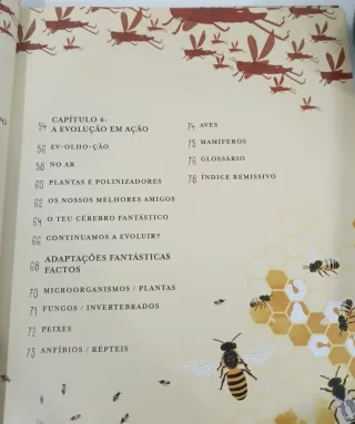 Incrível evolução a viagem da vida