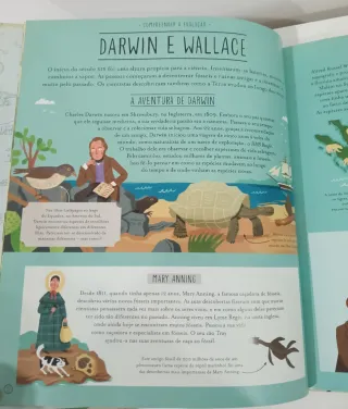 Incrível evolução a viagem da vida