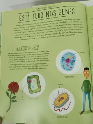 Incrível evolução a viagem da vida