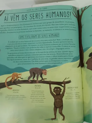 Incrível evolução a viagem da vida