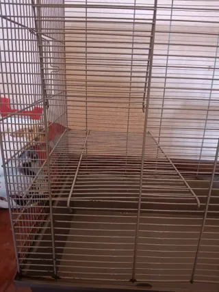 Jaula para roedores