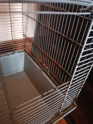 Jaula para roedores