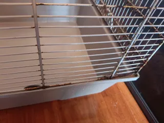 Jaula para roedores