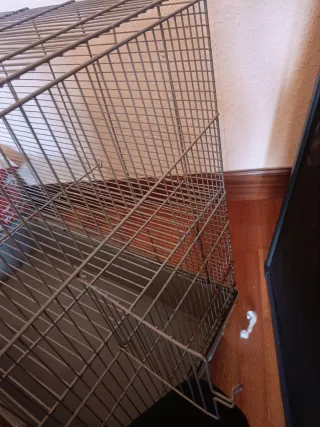 Jaula para roedores
