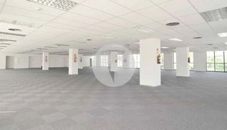 Oficina en alquiler en El Gall en Esplugues de Llobregat