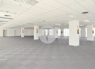 Oficina en alquiler en El Gall en Esplugues de Llobregat