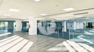 Oficina en alquiler en El Gall en Esplugues de Llobregat