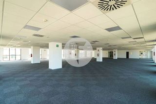 Oficina en alquiler en El Gall en Esplugues de Llobregat