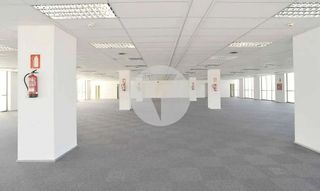 Oficina en alquiler en El Gall en Esplugues de Llobregat