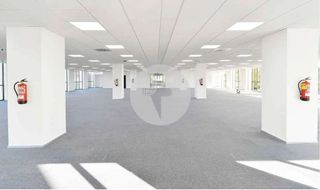 Oficina en alquiler en El Gall en Esplugues de Llobregat