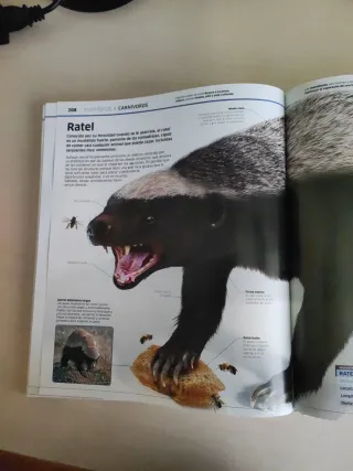 Animales (Mundo 3D): El reino animal como nunca...