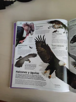 Animales (Mundo 3D): El reino animal como nunca...