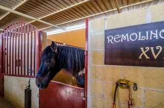 Casa rural en venta en Las Lagunas en Mijas